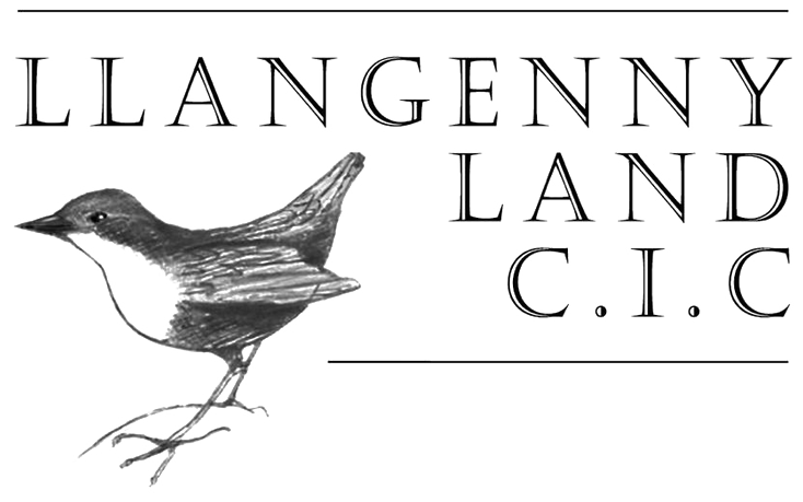 Llangenny Land C.I.C. A small bird, drawn in pen and ink, standing beside the company name set in widely spaced capitals between two ruled lines.